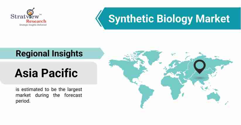 Synthetic-Biology-Market-Regional-Insights
